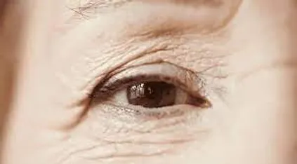 2d4416_2d5f7cc2655244e899ccf7f6f7acb620mv2